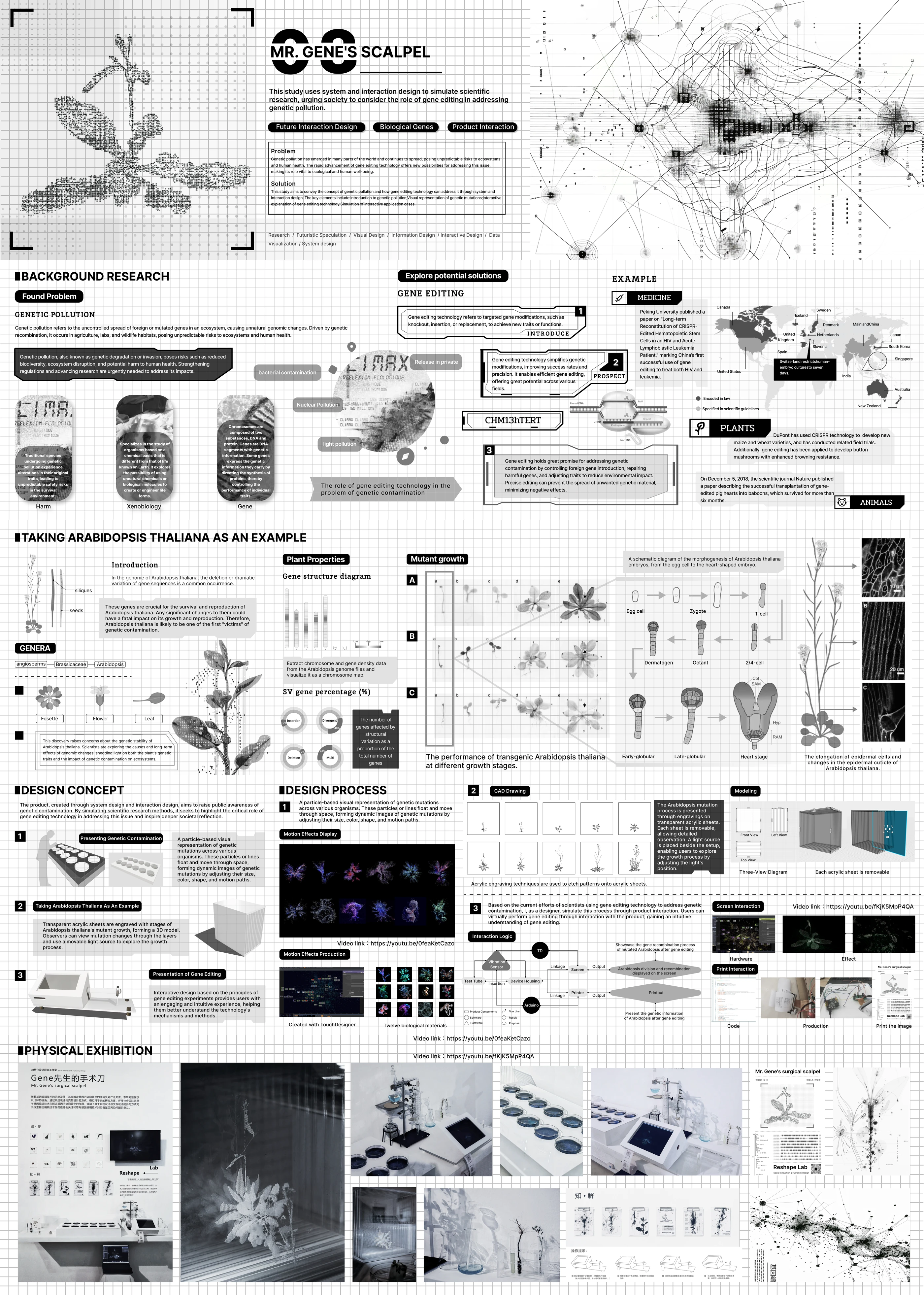 Project 3